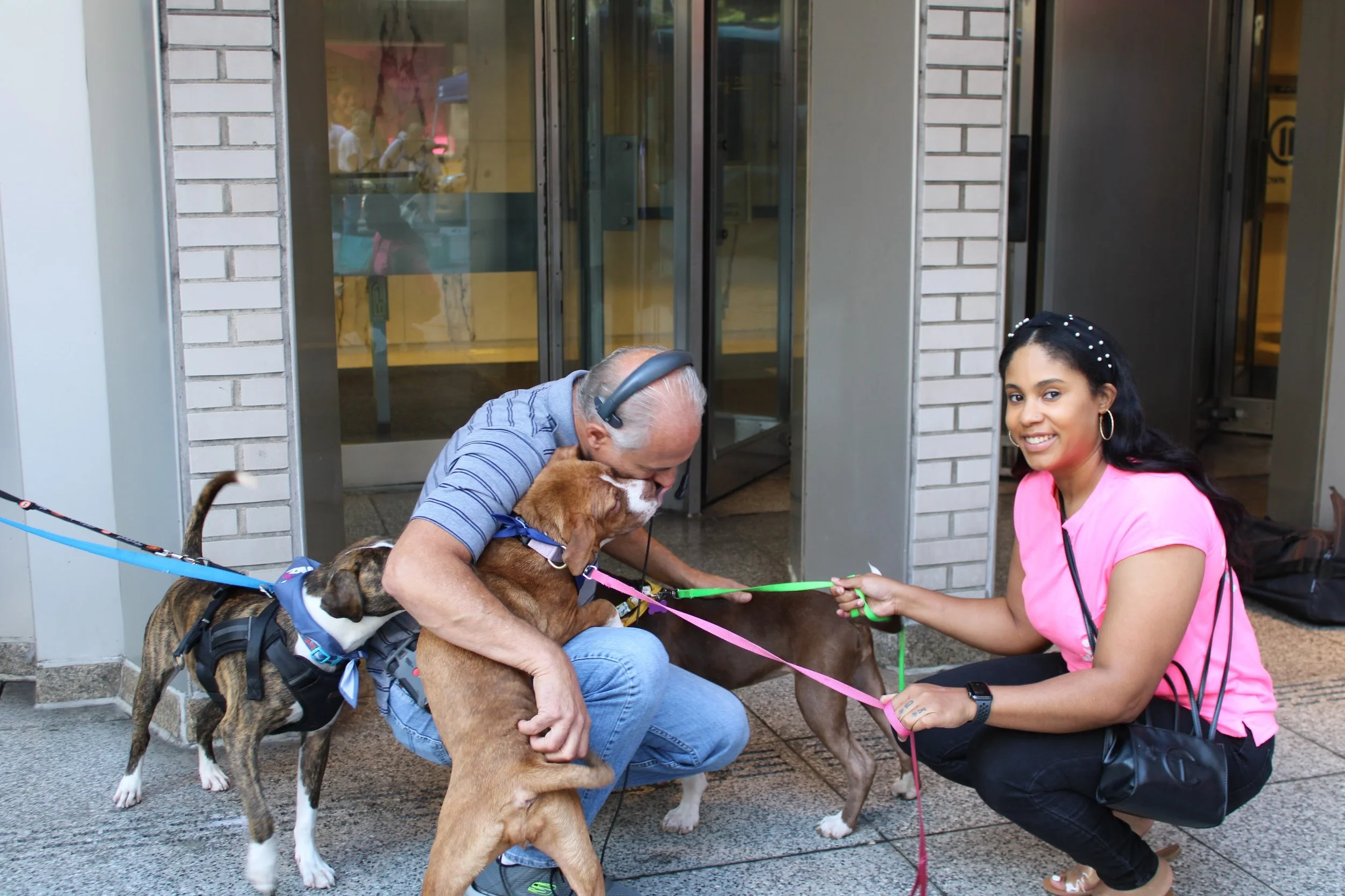 A man with gray hair, wearing a striped shirt and headphones, is hugging a brown dog, while a woman dressed in pink crouches next to them, holding the dog's leash. Two other dogs are present, one in a harness on the left, and another brown dog in the middle. They are outside a building with brick walls and glass doors.