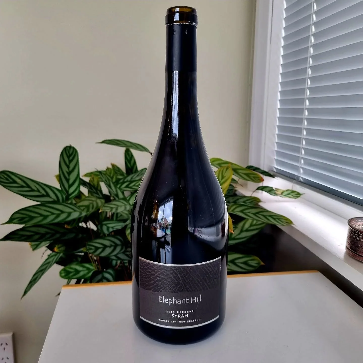 A stunning magnum of @elephanthill syrah that we enjoyed recently. Beautifully aged and a great centerpiece.

#nzfinewine #agedwine #nzsyrah #redwine #cellarwine #magnum #hawkesbaysyrah #hawkesbaywine #lovenzwine