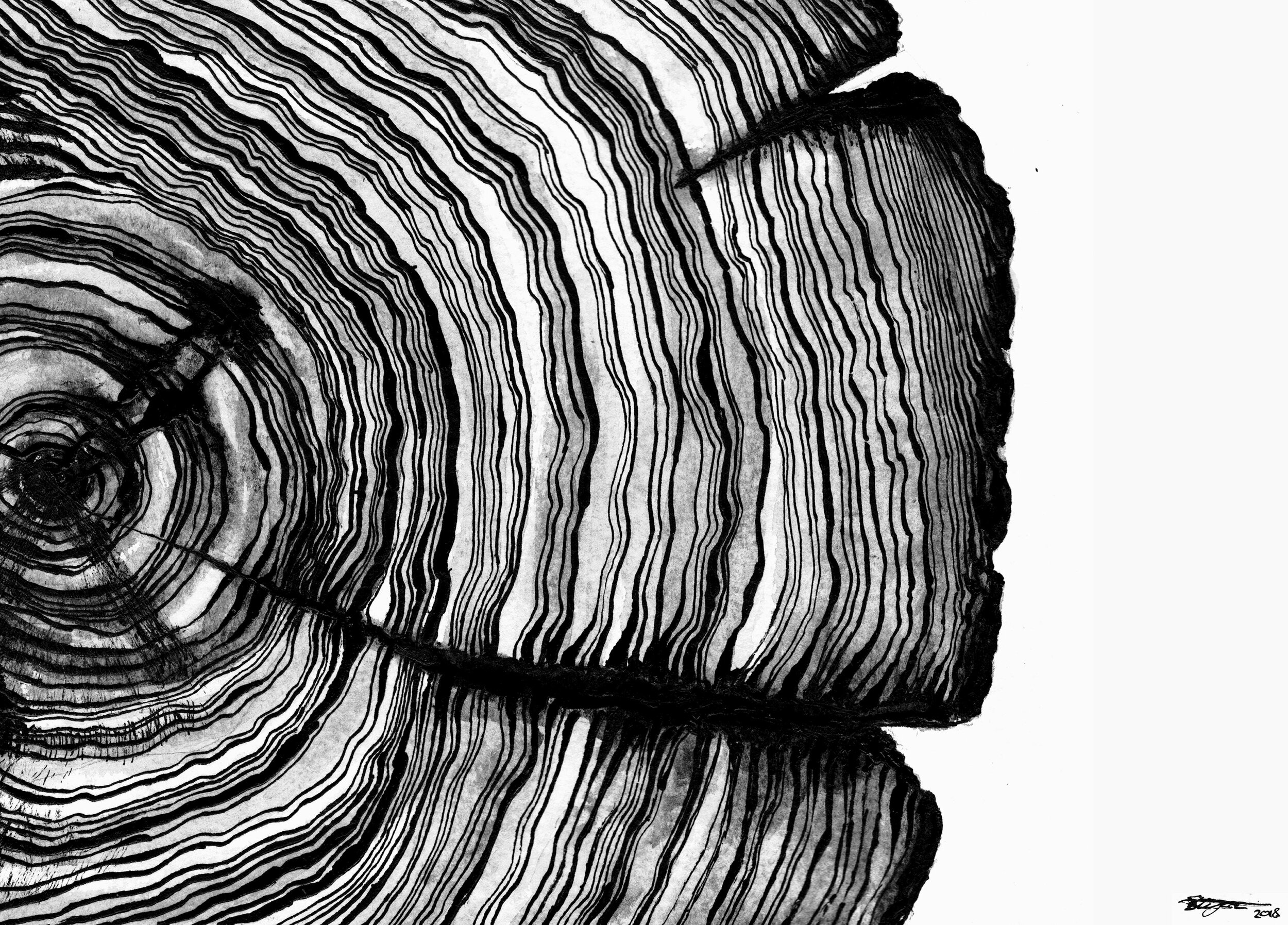 wood_web.jpg