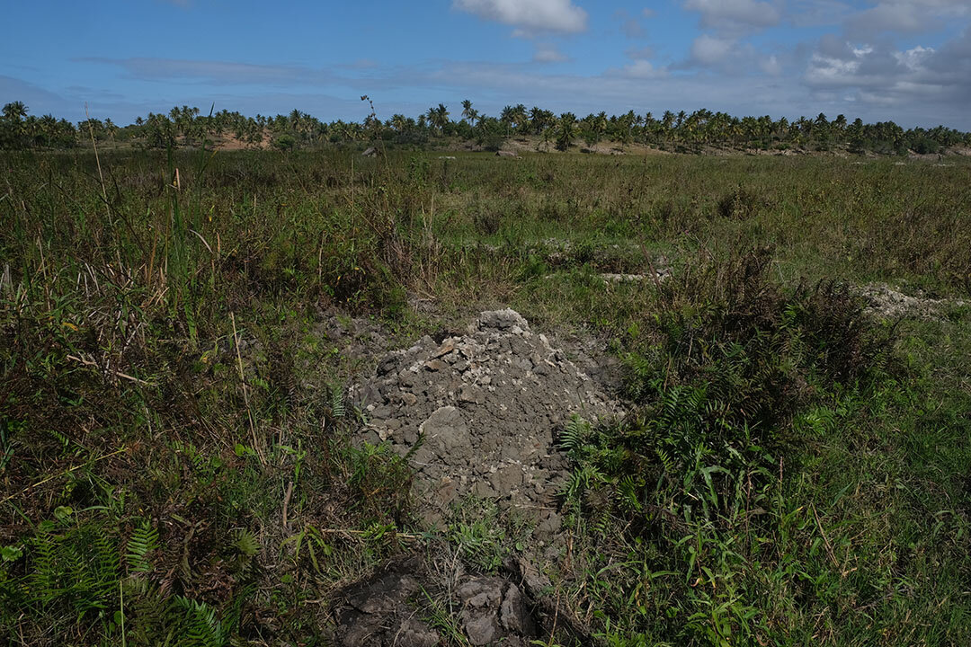 Drying freshly dug clay