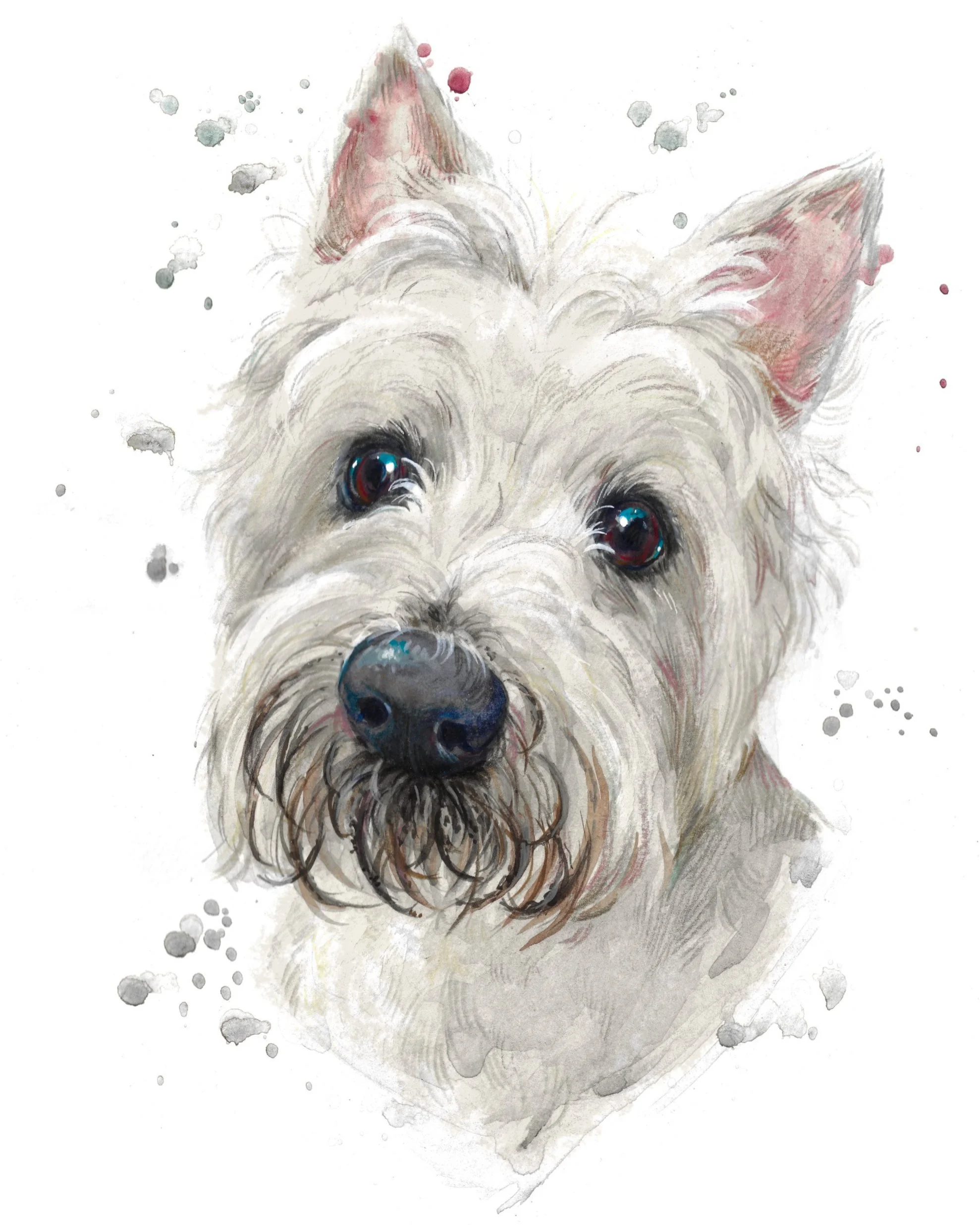 kirsty+jones+muddy+westie+8x10%2522.jpg