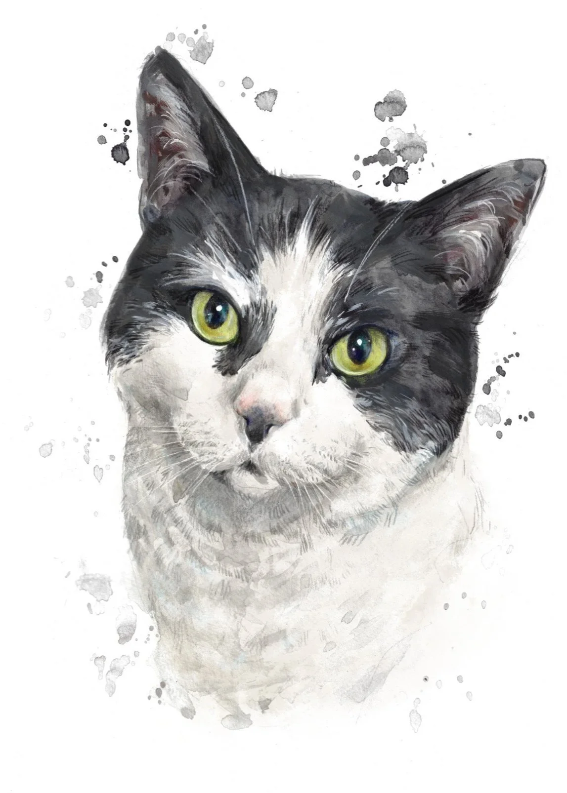 bounty+for+phoebe+salisbury+10x14%2522+cat+web.jpg