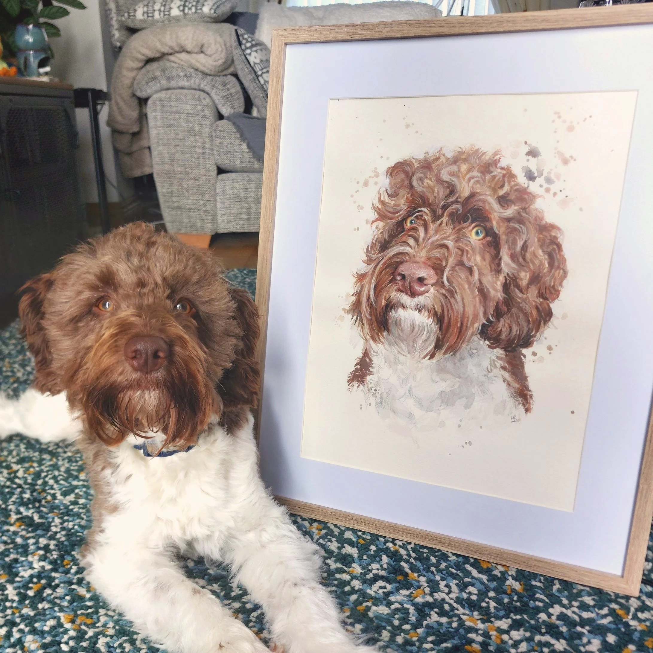 A brown and white curly-haired dog sitting on a multicolored carpet next to a framed watercolor portrait of a similar dog. The background includes a sofa with blankets and a side table.