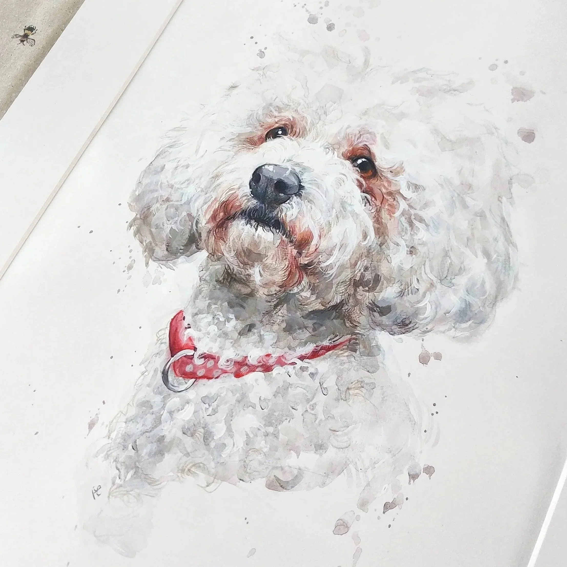 A watercolor painting of a fluffy white dog with brown patches, wearing a red collar, looking slightly upward with a gentle expression.