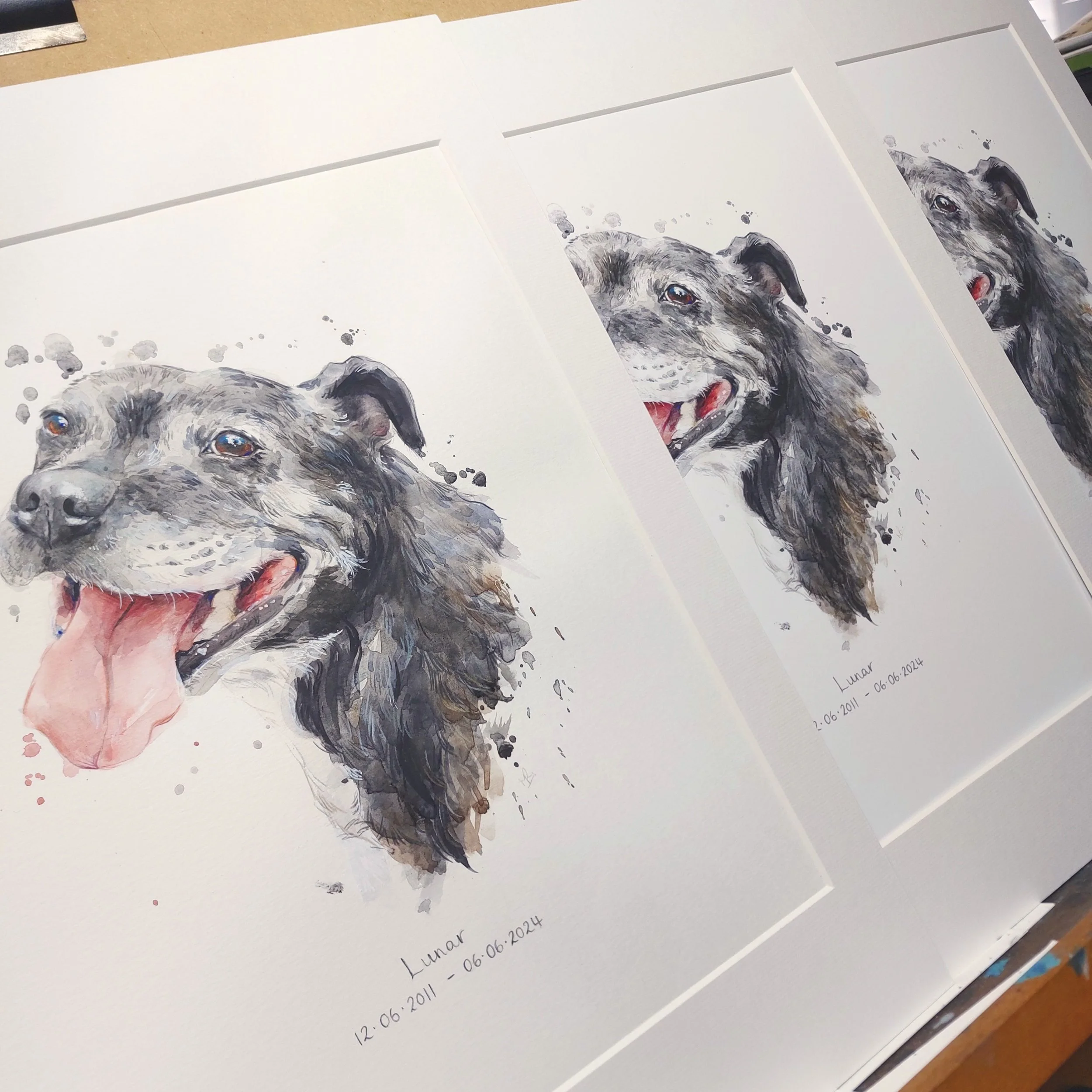 Watercolor portrait of a happy, smiling dog with its tongue out, featuring black and gray fur and brown eyes, signed with the name Lunar, and the dates 12.06.2011 and 06.06.2014.