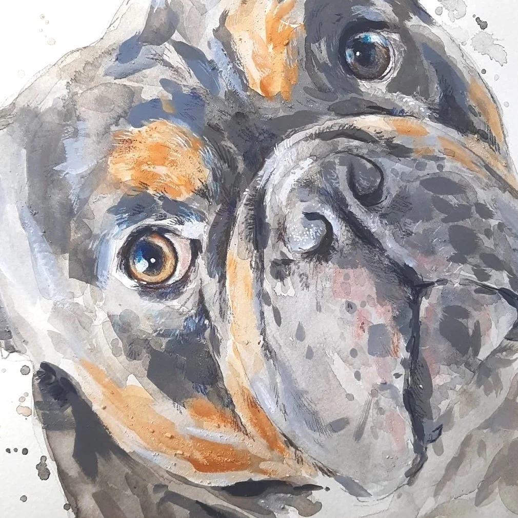 Watercolor painting of a close-up of a dog's face, showing expressive eyes, nose, and fur in shades of gray, black, white, and tan.