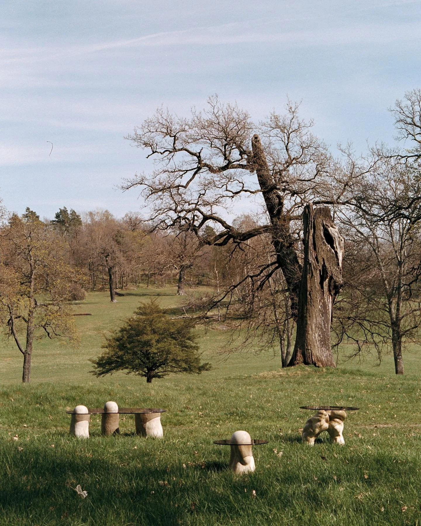 Petrified🤍 in collaboration with @aharstrom