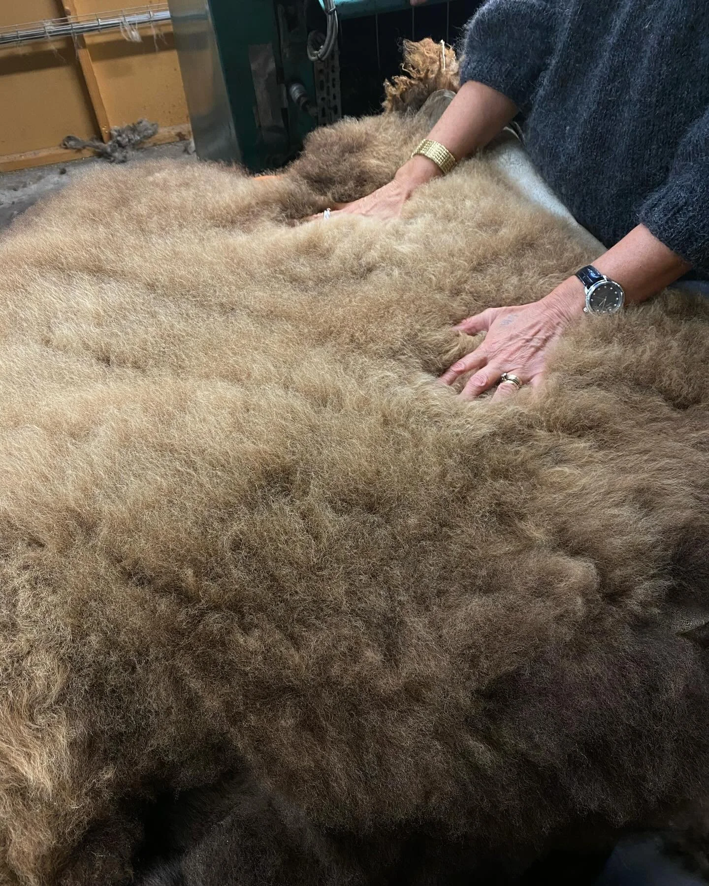 From fantastic production visit and workshop to cuddles and inspiration. Finishing up with a talk at M&ouml;belriksdagen about trees and furniture. 🌳 

Thank you for two wonderful days @svenskform @swedishtanners @tranasskinnberedning @ateljeguldtac