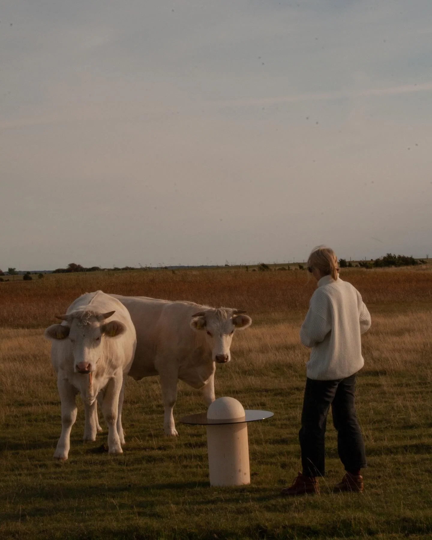 Good taste and conversations 🐮 

📷 @mathildaw