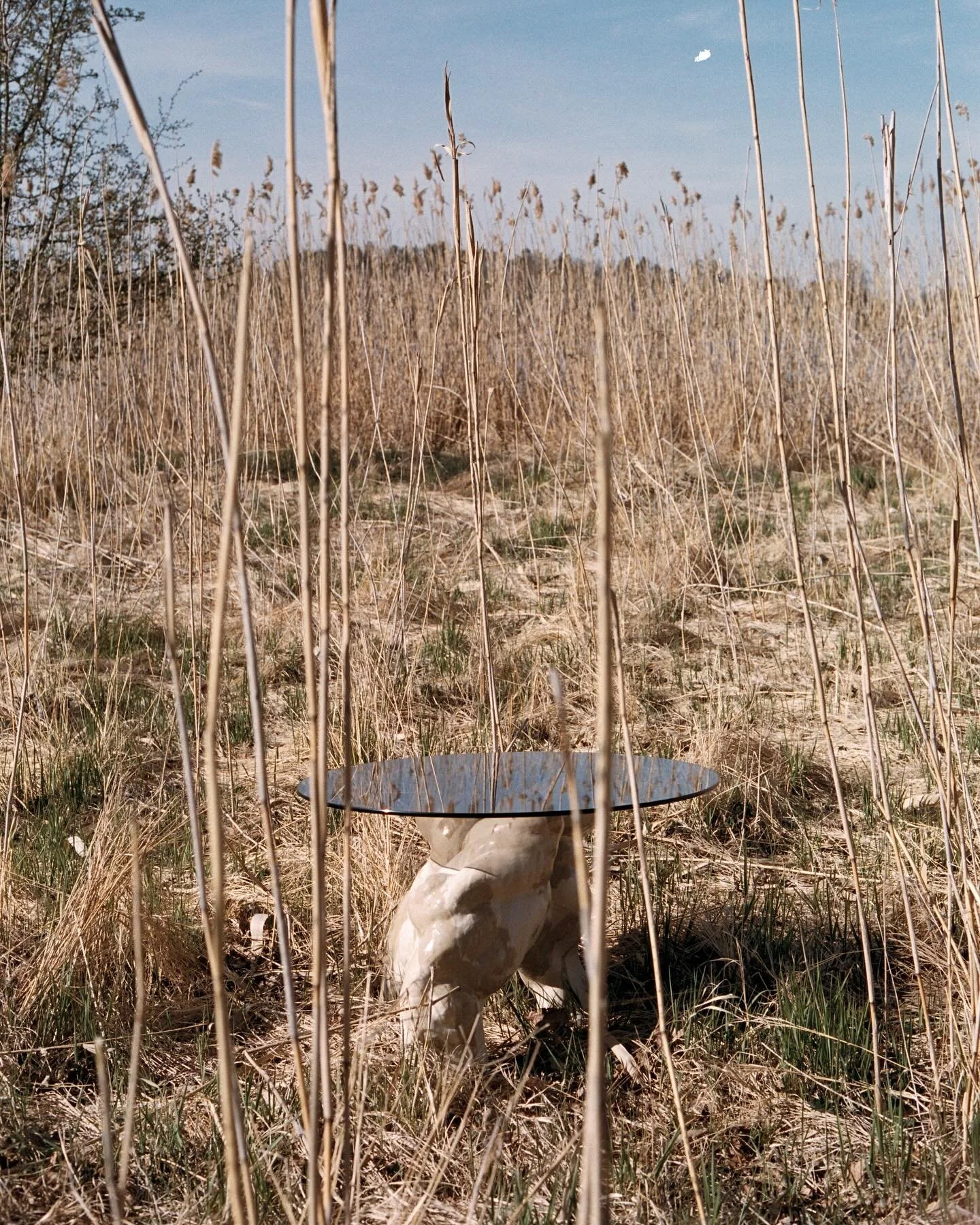 In collaboration with @aharstrom 🧡