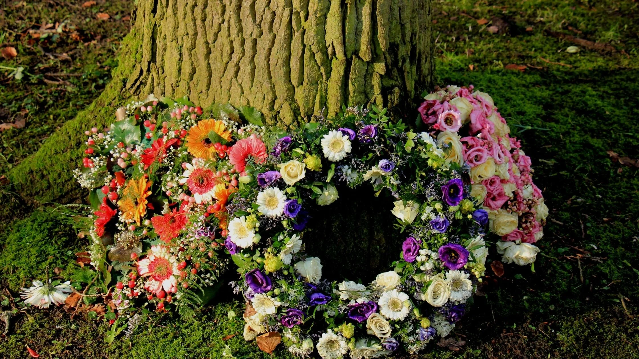 Galway Funeral Services Donoghue Undertakers