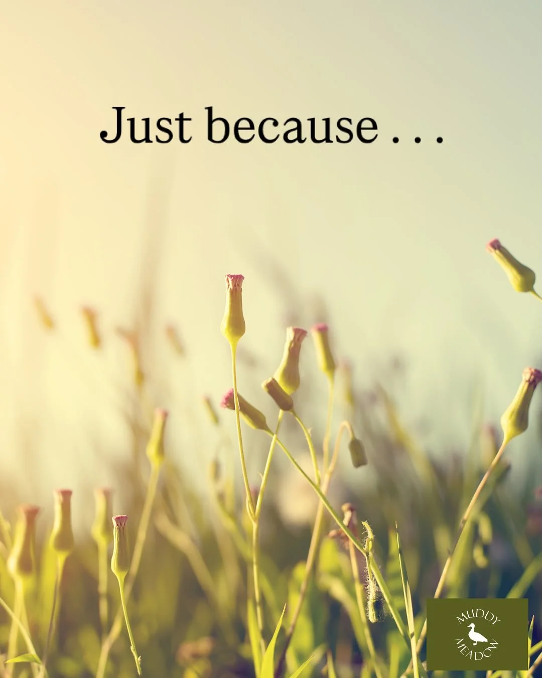 Just because it&rsquo;s Summer it doesn&rsquo;t mean you don&rsquo;t need a t-shirt that keeps off summer light rain
Just because it&rsquo;s Summer it doesn&rsquo;t mean you don&rsquo;t need a t-shirt that&rsquo;s perfect for relaxing outdoors on a s