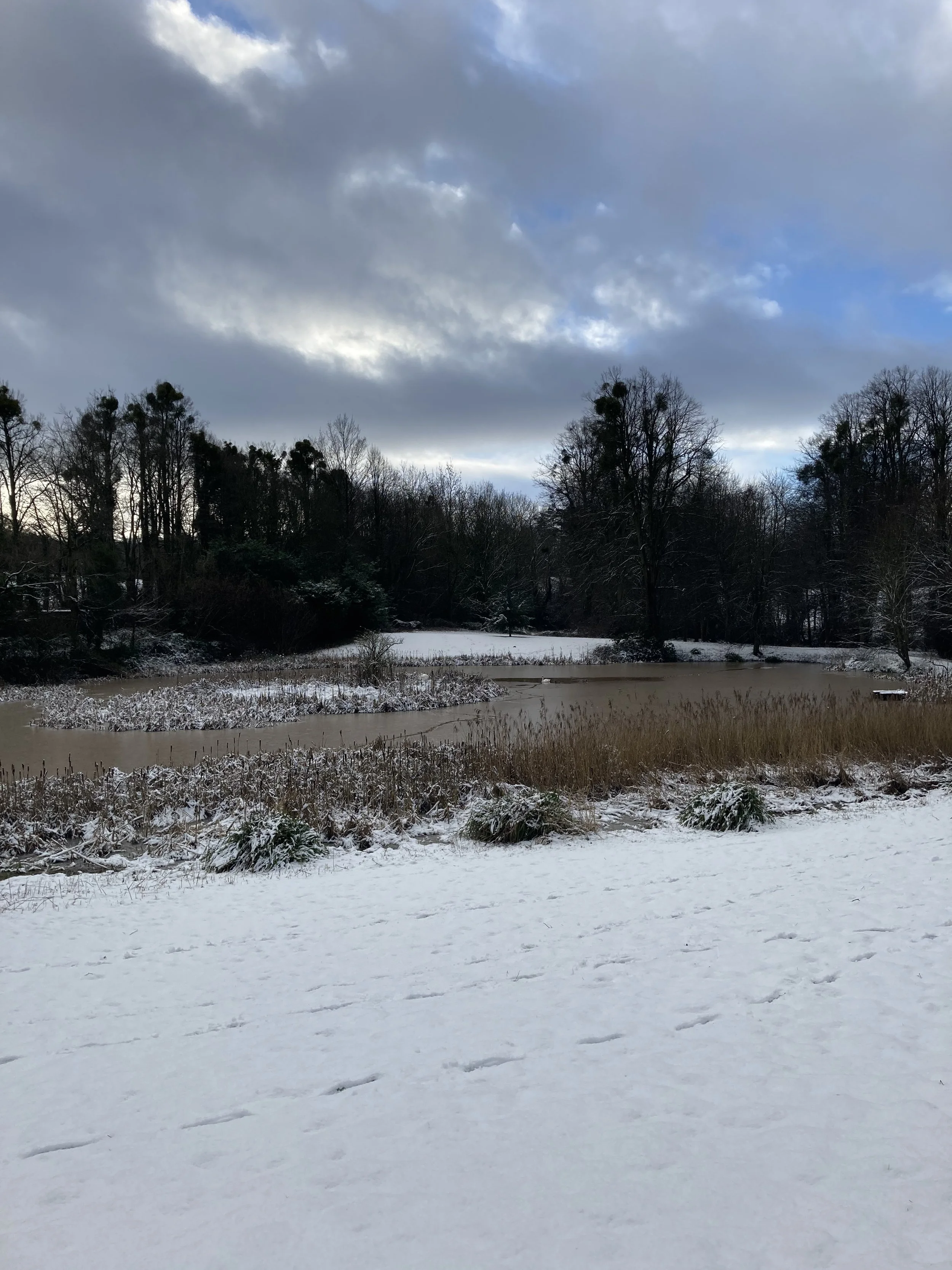 JOURNAL #28 - Getting Outdoors in Winter