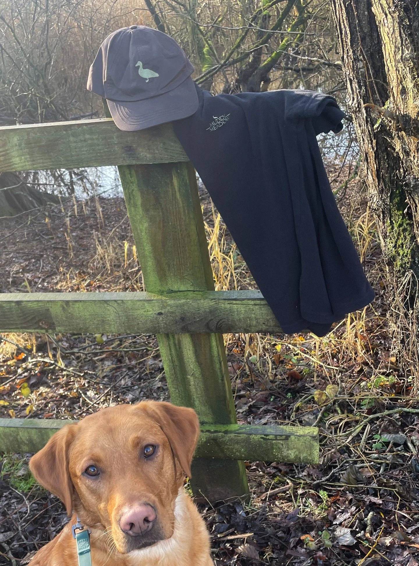 Cold weather miles. A soft base layer. A hat that keeps the wind off.
Simple kit for steady January days.

#countryside #livingwiththeseasons #baseballcap #winterwear #walks