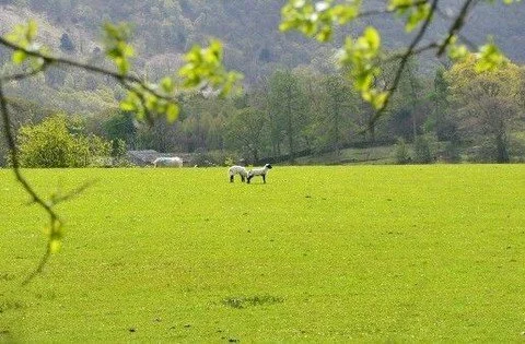 April is the month of unpredictability outdoors &mdash; bright sun one moment, a sharp shower the next. Just today while working outside we&rsquo;ve had sunshine, showers, hail and wind. In Somerset we&rsquo;ve gone from wearing shorts while gardenin