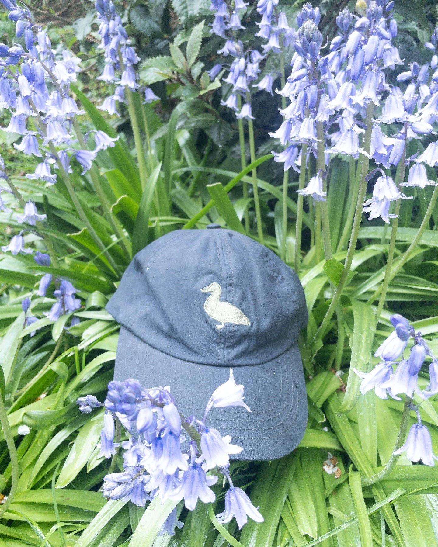 Getting outdoors in Spring:

Early‑morning walks when the light is softest

Woodland paths to catch the first bluebells

Shorter, spontaneous outings between showers

A flask‑and‑fleece kind of picnic &mdash; still too cool for blankets alone

#livin