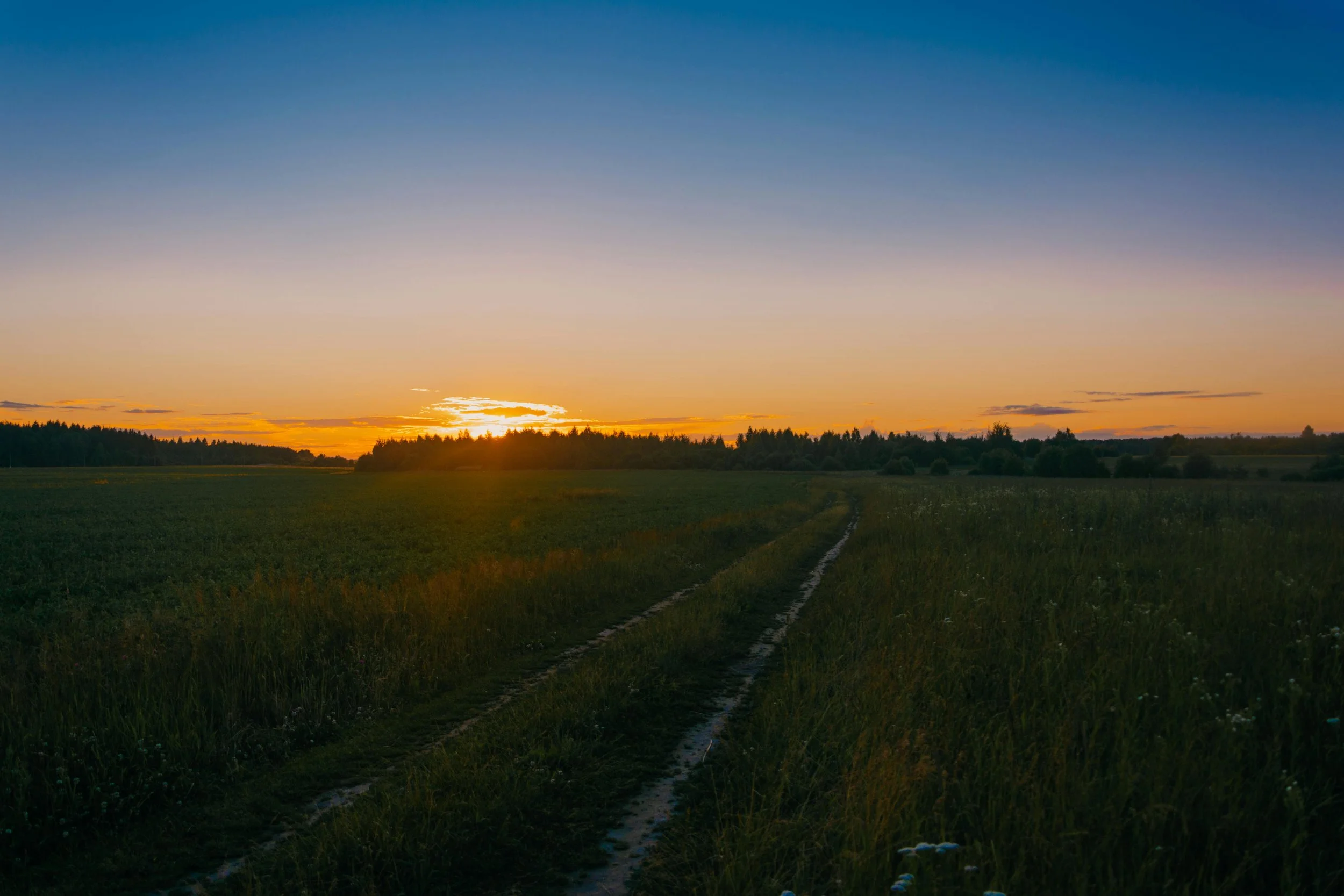JUNE FIELD NOTES: Summer Trails &amp; Adventures