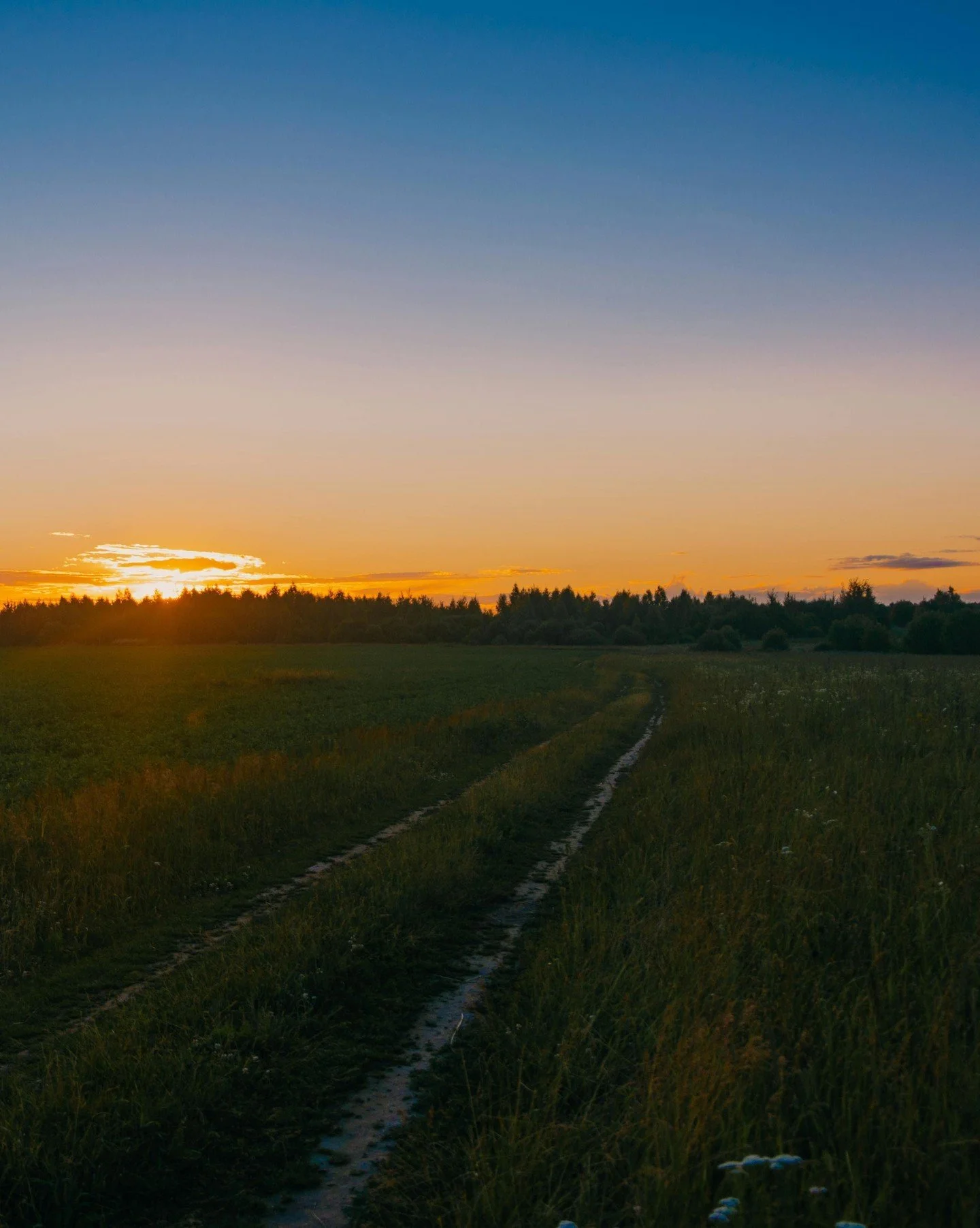 June Field Notes - Summer Trails and Adventures
June arrives with long, sunny days and while we&rsquo;ve already had a heatwave, June should be the first real stretch of summer with more settled weather. Early starts feel easier, evenings run later, 