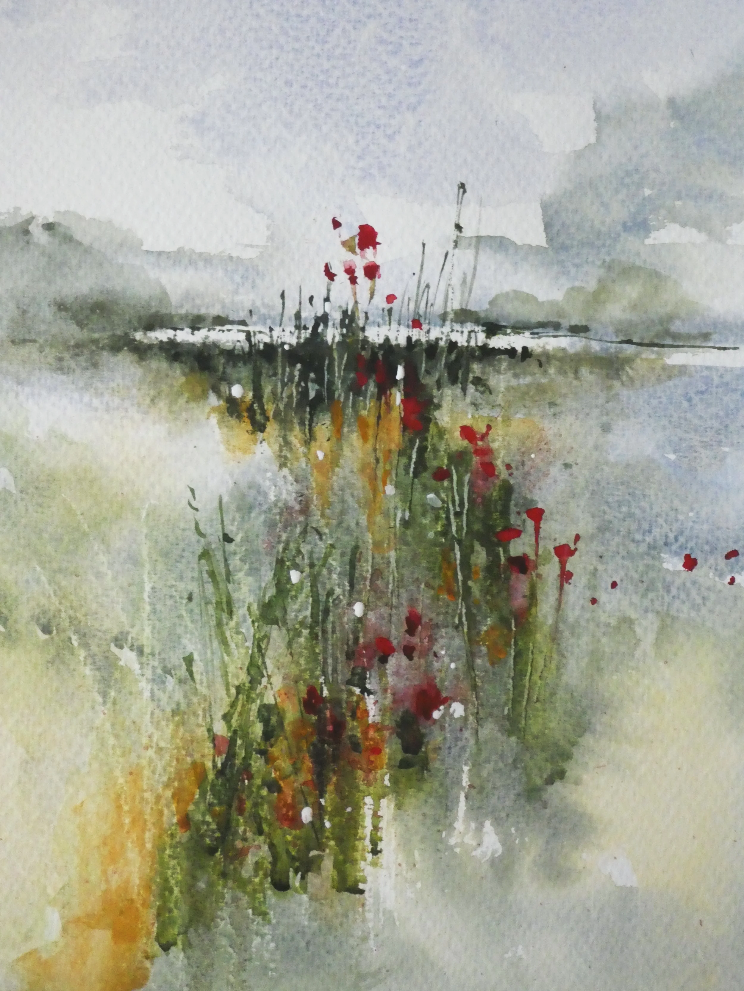 Poppy Meadow