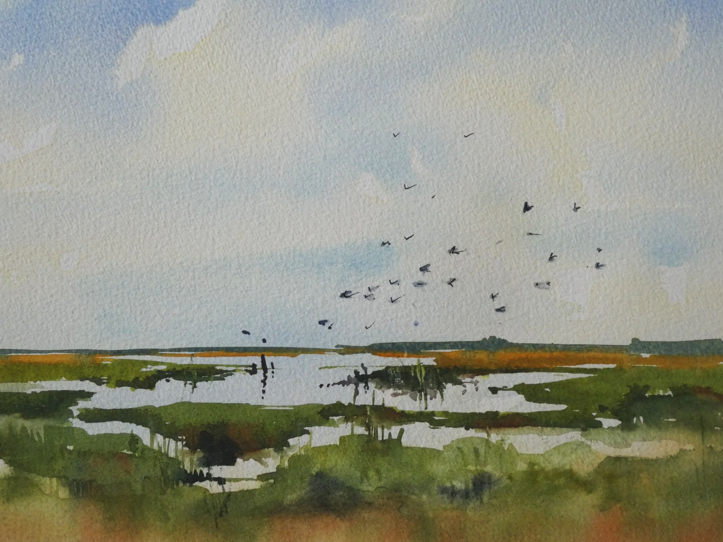 Marshes at Burnham Norton