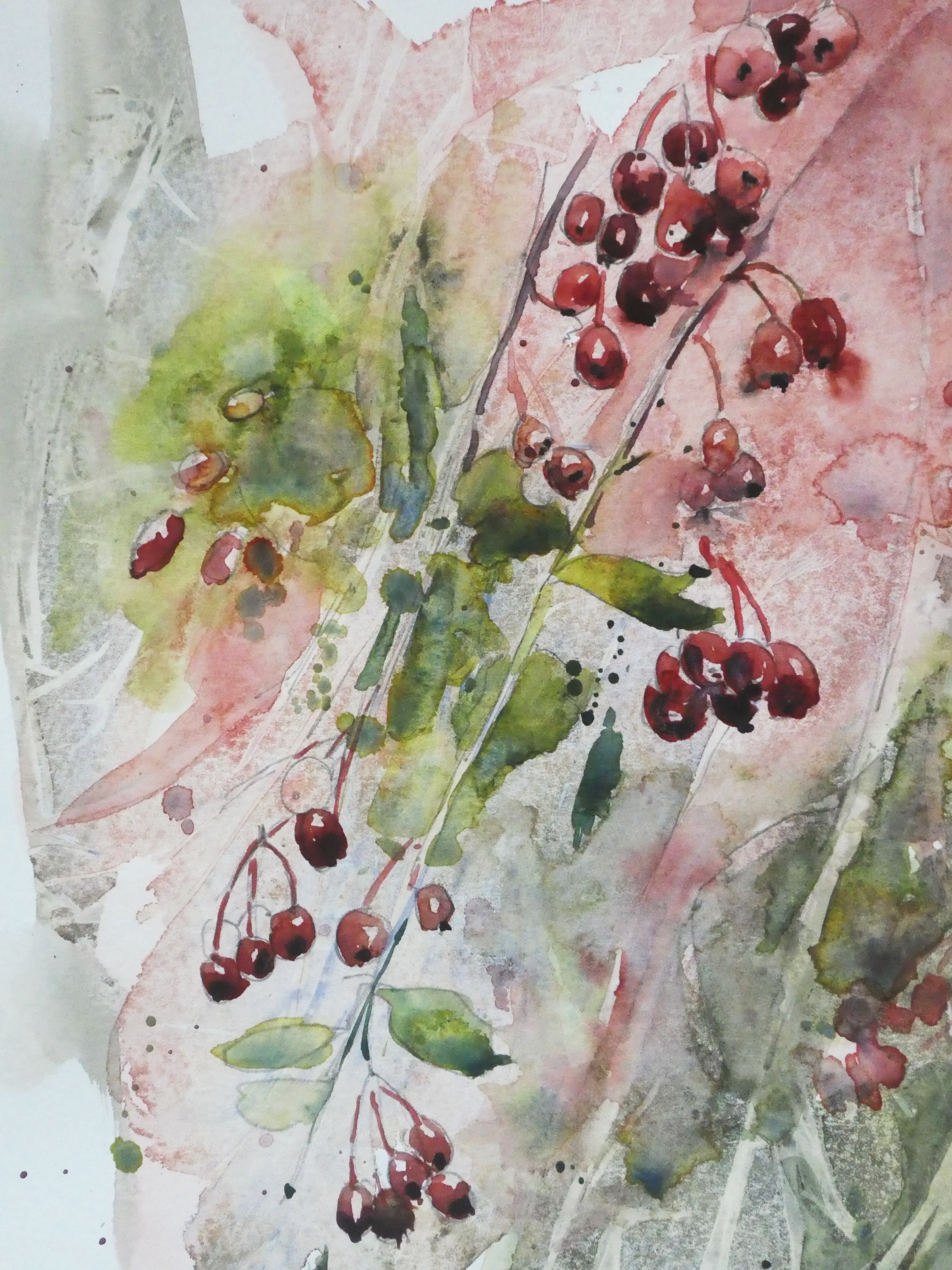 Winter Berries