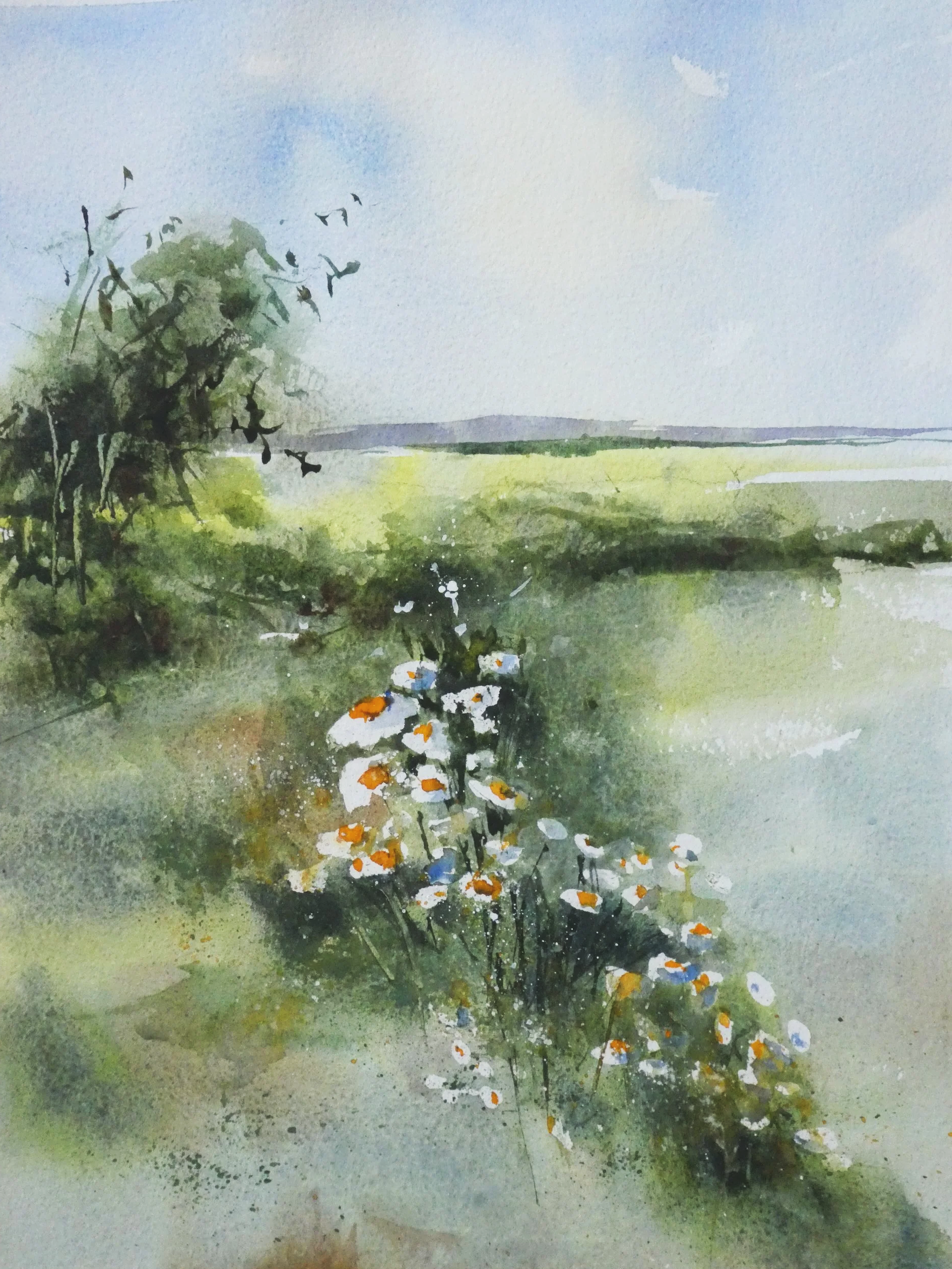 Ox-eye Daisies by the River