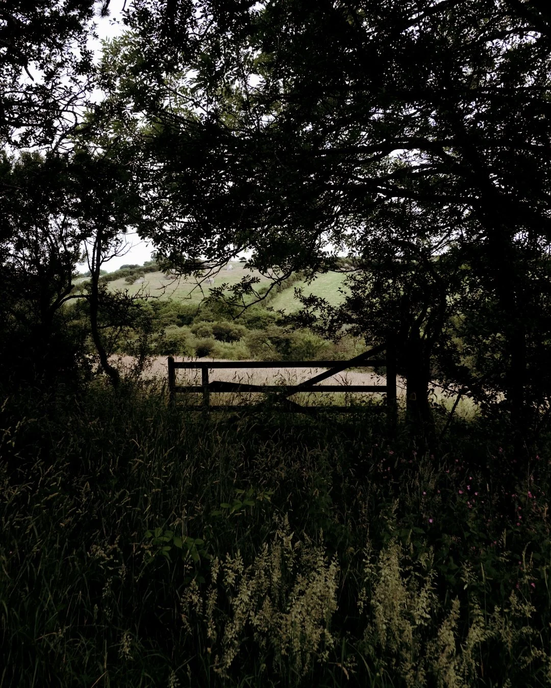 Yves_Drieghe_Artist_Residency_Cornwall_Space