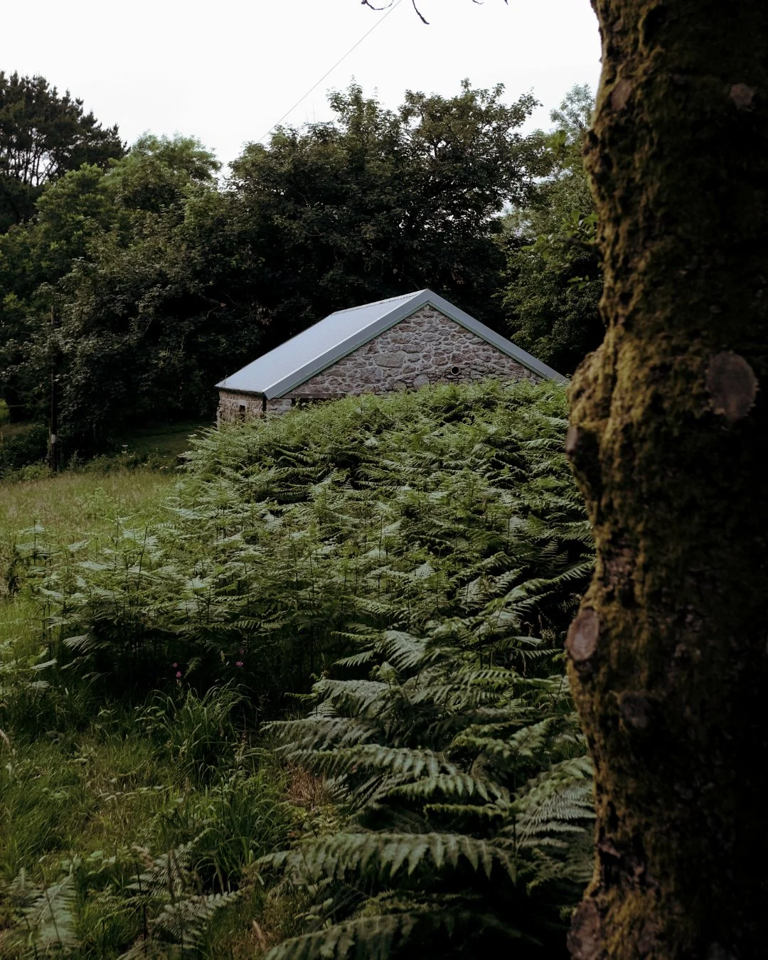 RANDOM RESIDENCY PHOTOS-42.jpeg