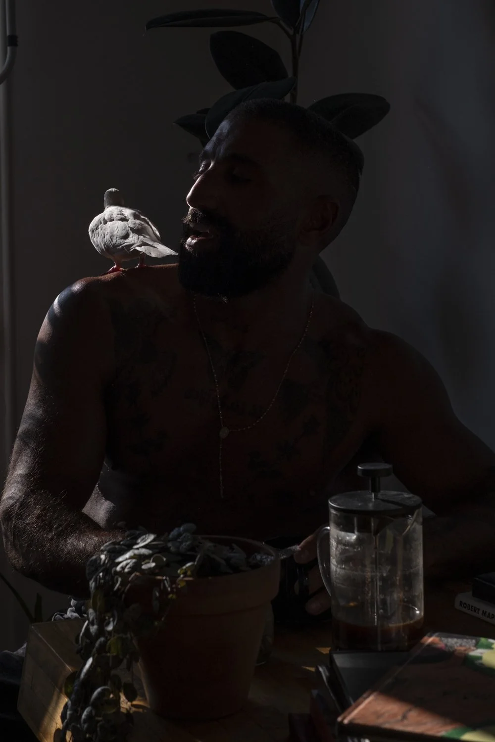 The Sharok and Paloma