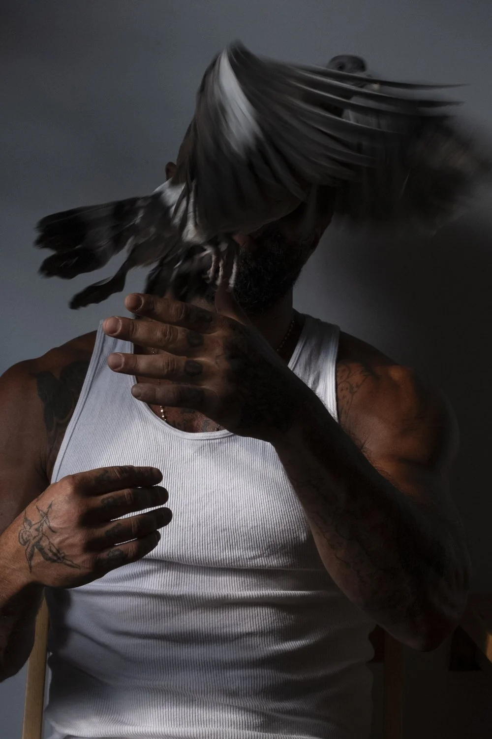 The Sharok and Paloma