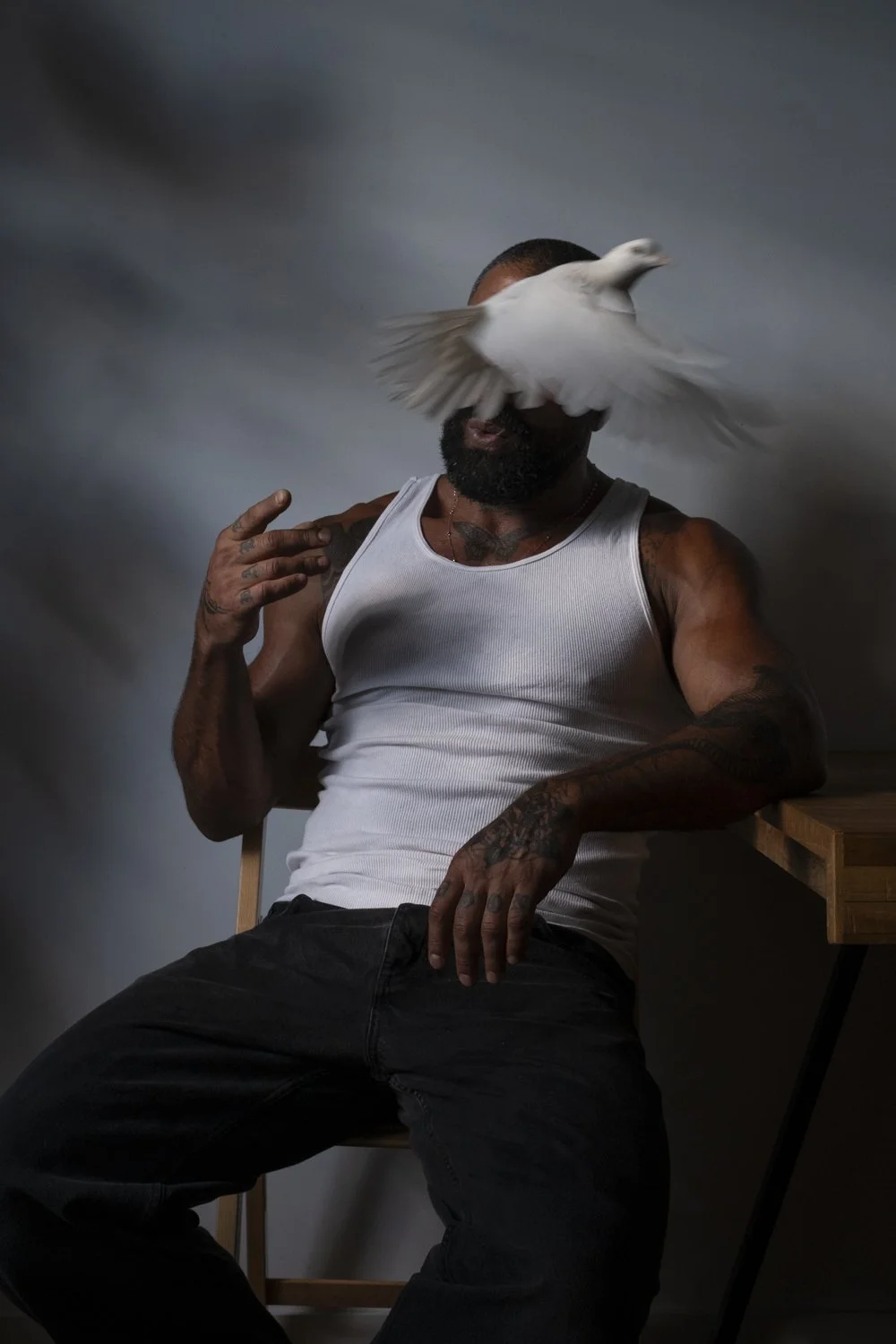 The Sharok and Paloma