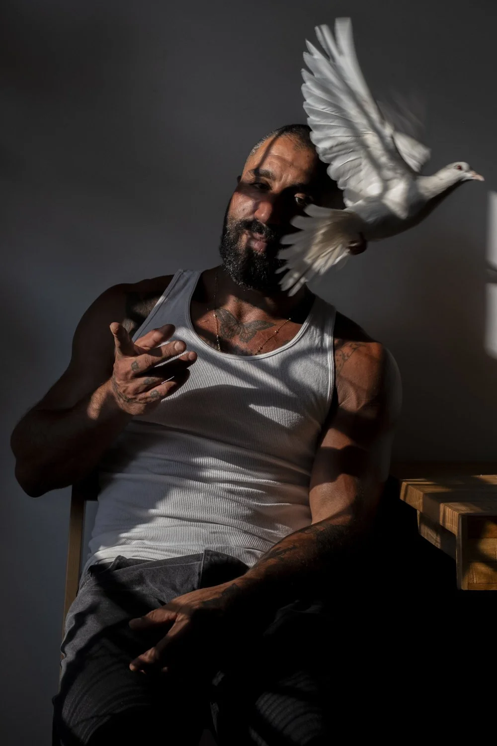 The Sharok and Paloma