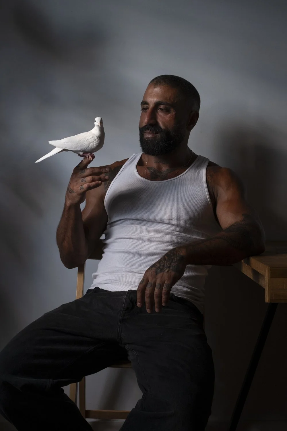 The Sharok and Paloma