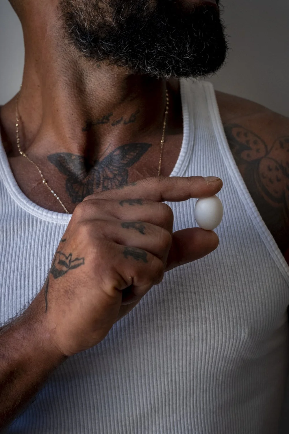 The Sharok and Paloma