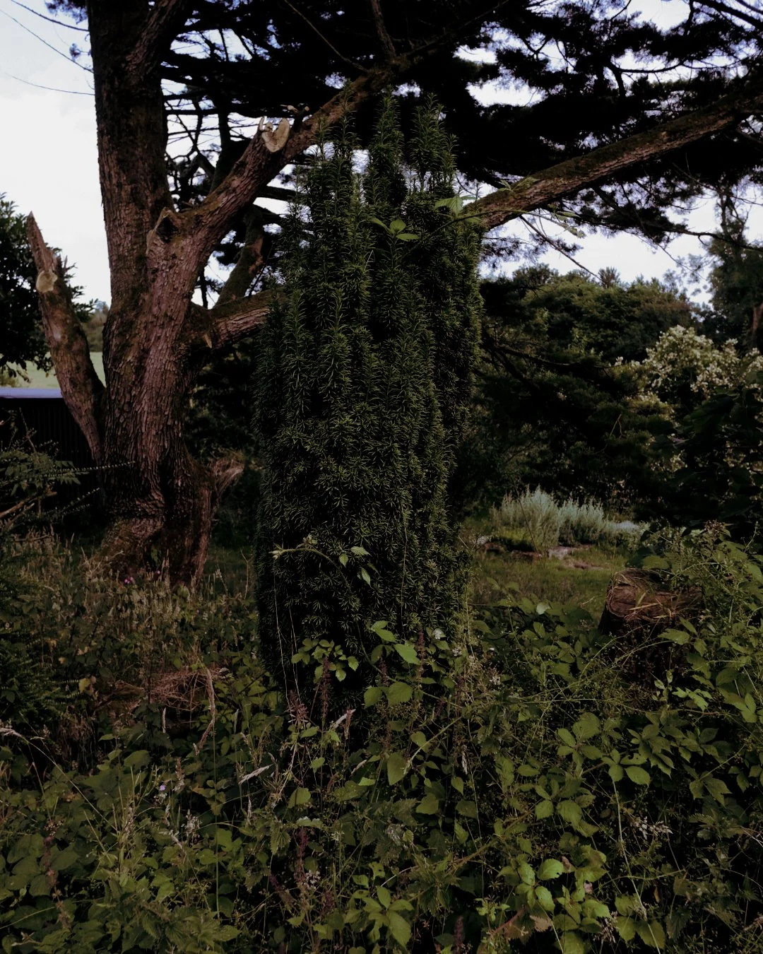 Yves_Drieghe_Artist_Residency_Cornwall_Space