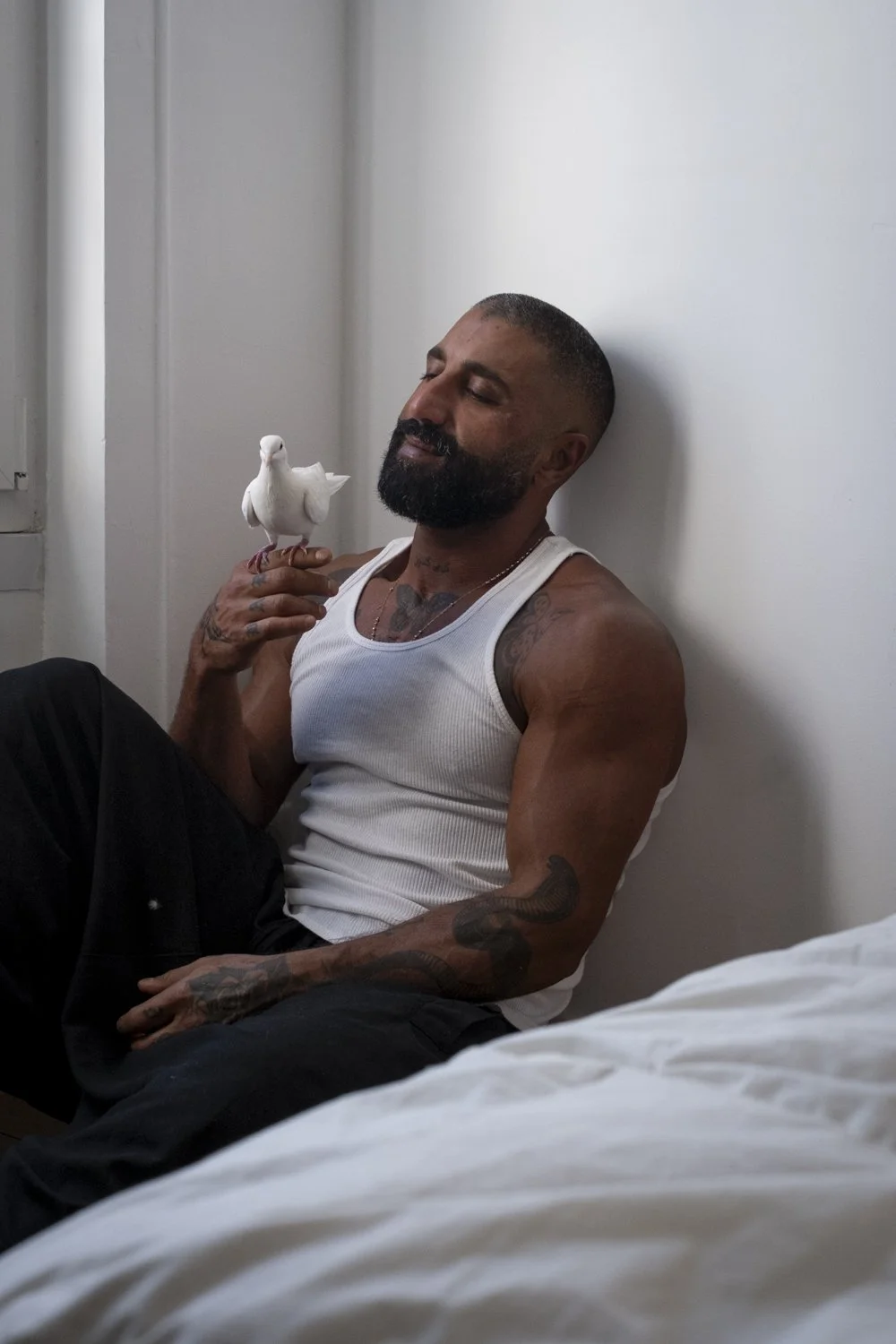 The Sharok and Paloma