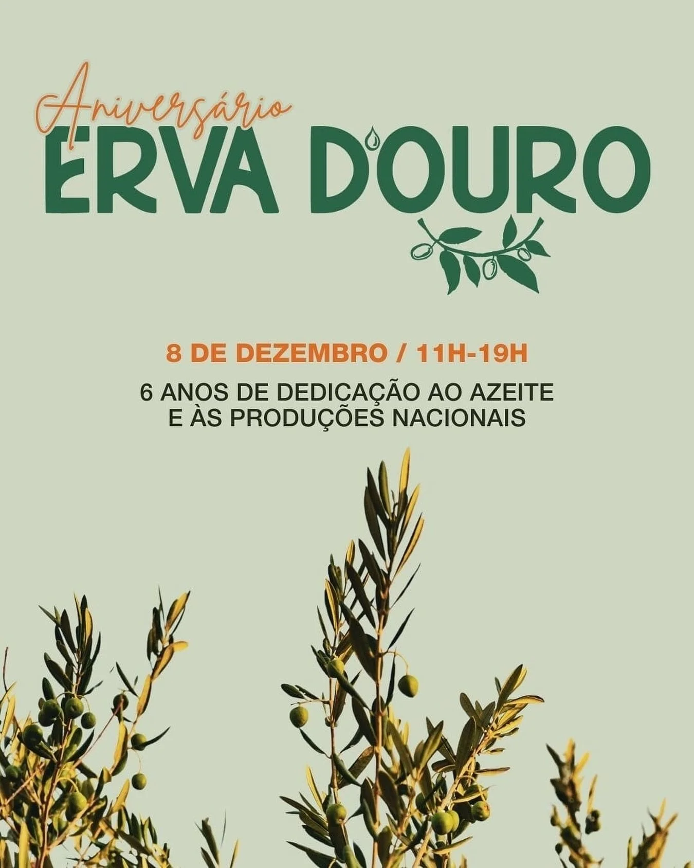 🌿 ERVA D&rsquo;OURO &bull; 6&ordm; ANIVERS&Aacute;RIO 🌿

No dia 8 de Dezembro de 2025, entre as 11h00 e as 19h00, abrimos as portas das nossas lojas em Campo de Ourique para celebrar seis anos de dedica&ccedil;&atilde;o ao azeite e aos sabores loca