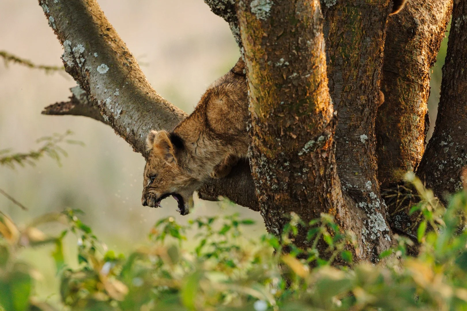 Kenya-1.jpg
