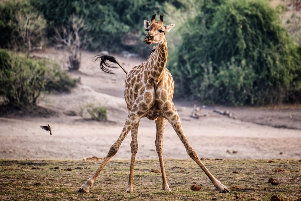 20190924-DSCF1284-Edit.jpg
