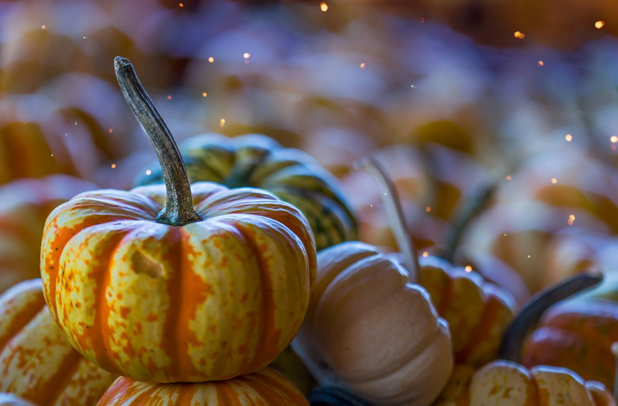 Halloween Parade