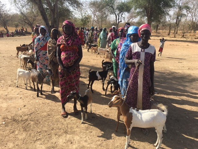 Women in line with their goats.jpg