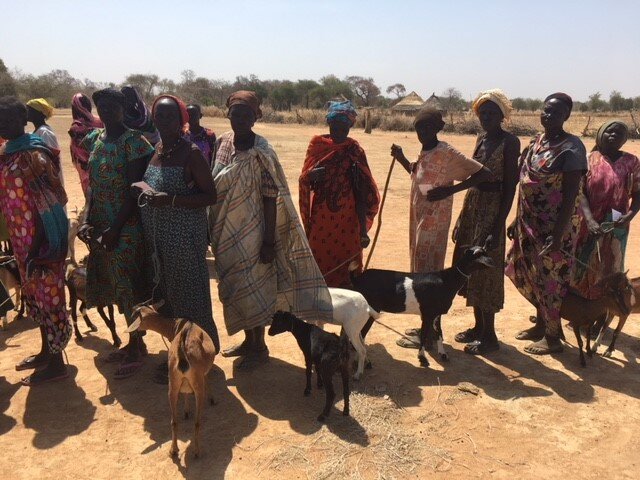 Women with their goats in Marial Achok.jpg