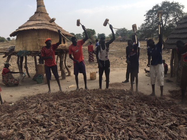Men beating dried sorghum with mallets.jpg