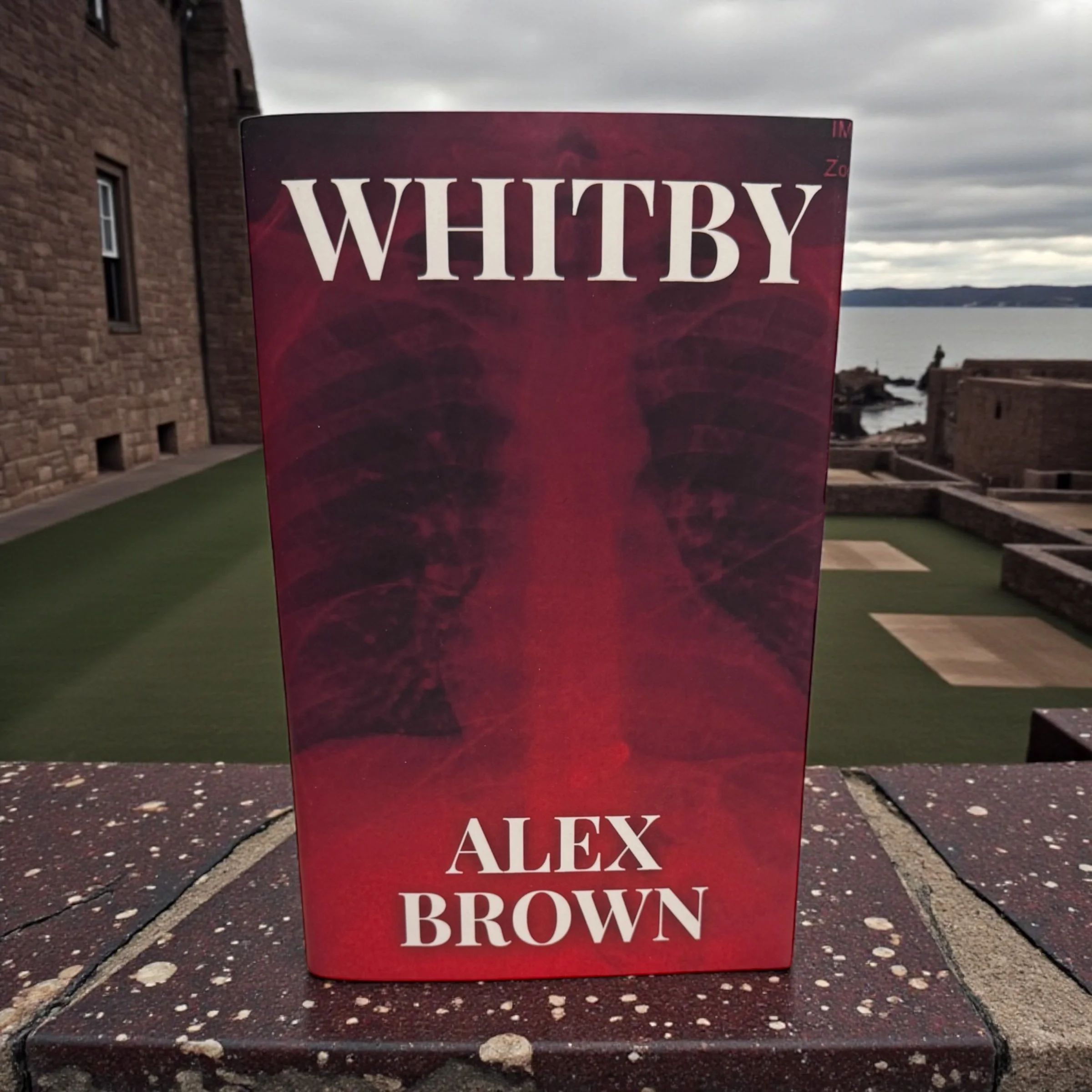 Whitby Is Out Today: An Immersive Coastal Romance Rooted in Atmosphere ...