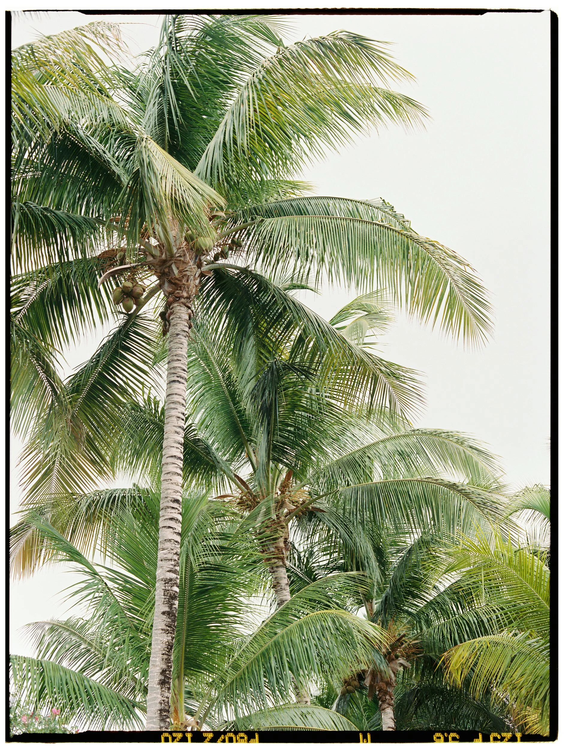 Caribbean ocean scenery captured on film in the US Virgin Islands.