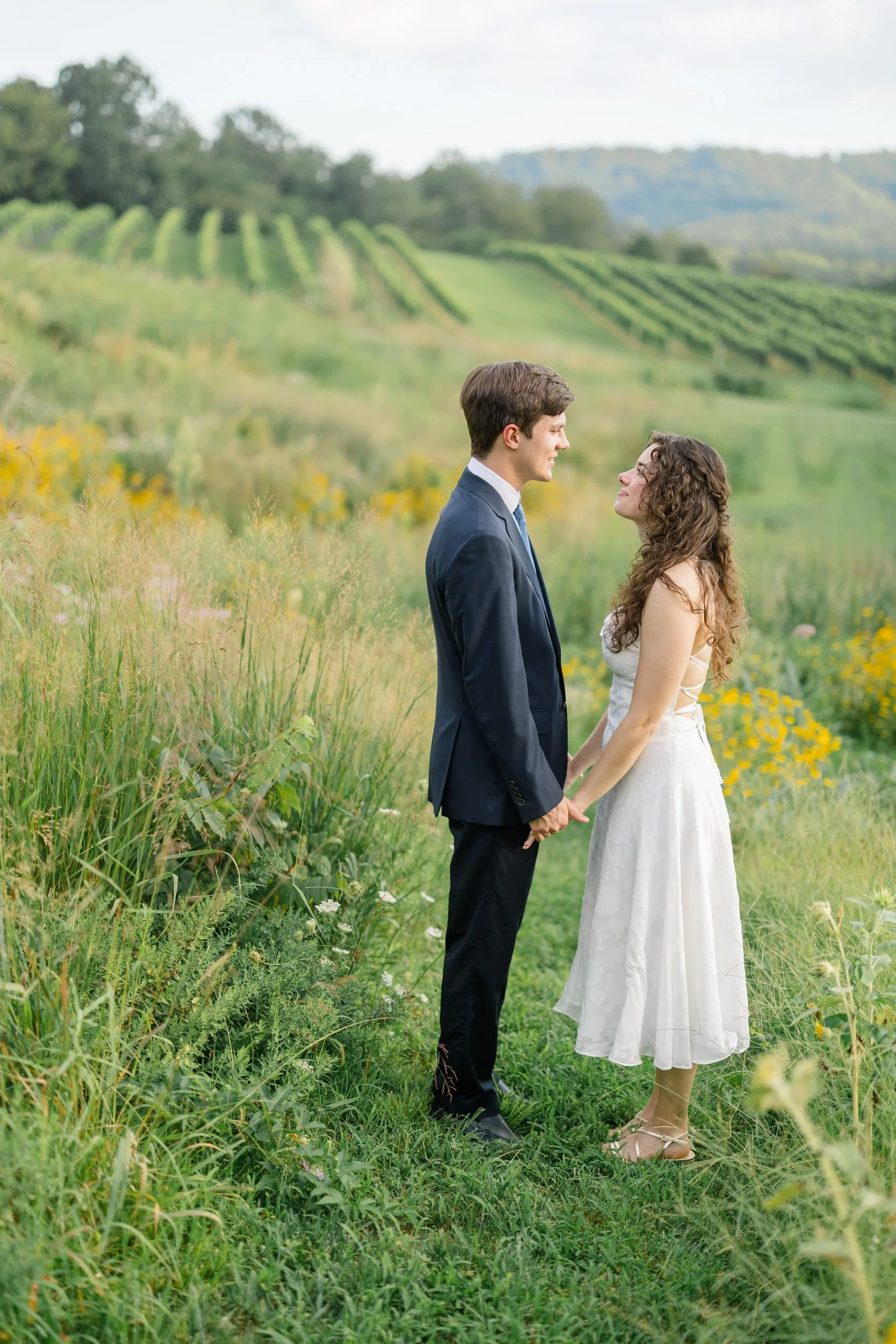 Romantic vineyard engagement photos at Pippin Hill Farm & Vineyards