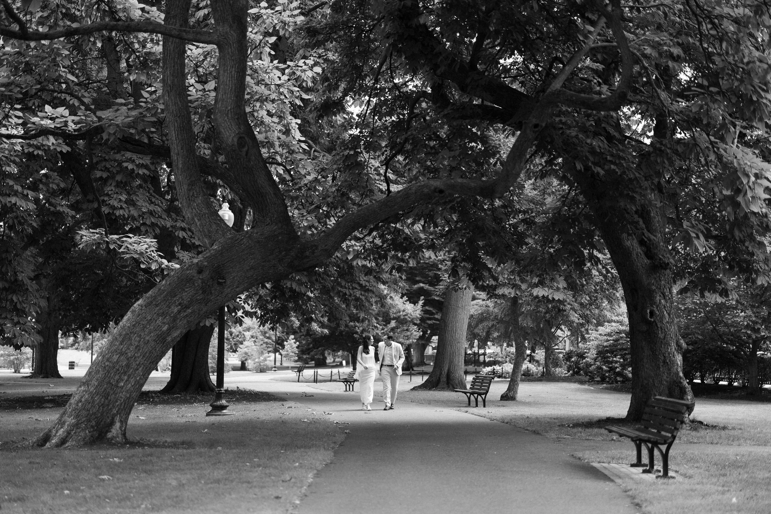 Couple walking through the Boston Public Garden during a timeless engagement session.