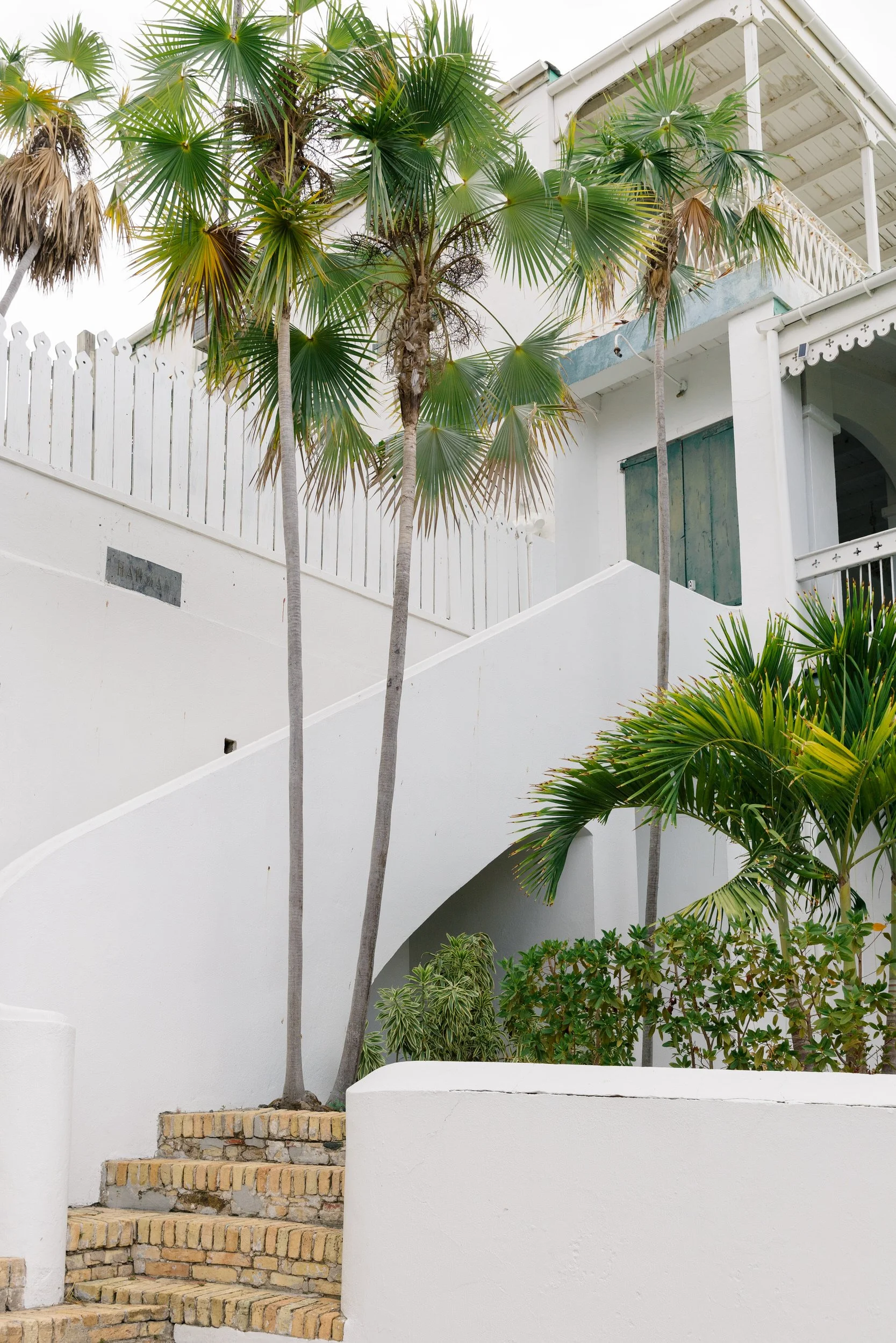 Tropical palm trees and vibrant greenery overlooking the Caribbean in St. Thomas