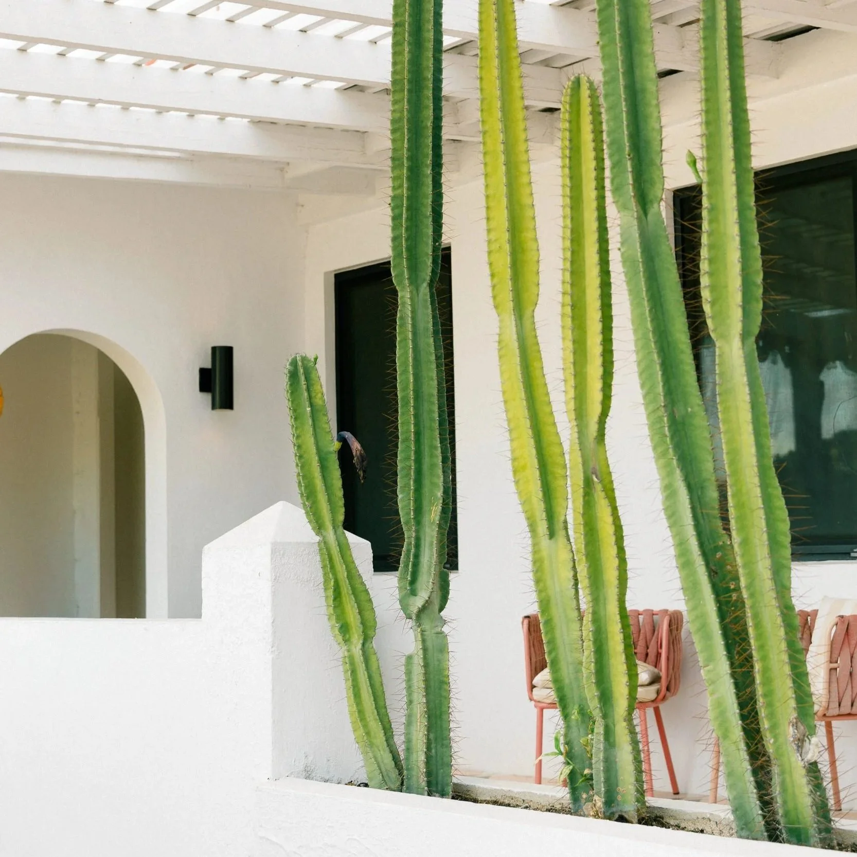 St. Thomas Travel Guide: Pink Palm Hotel + Tips
