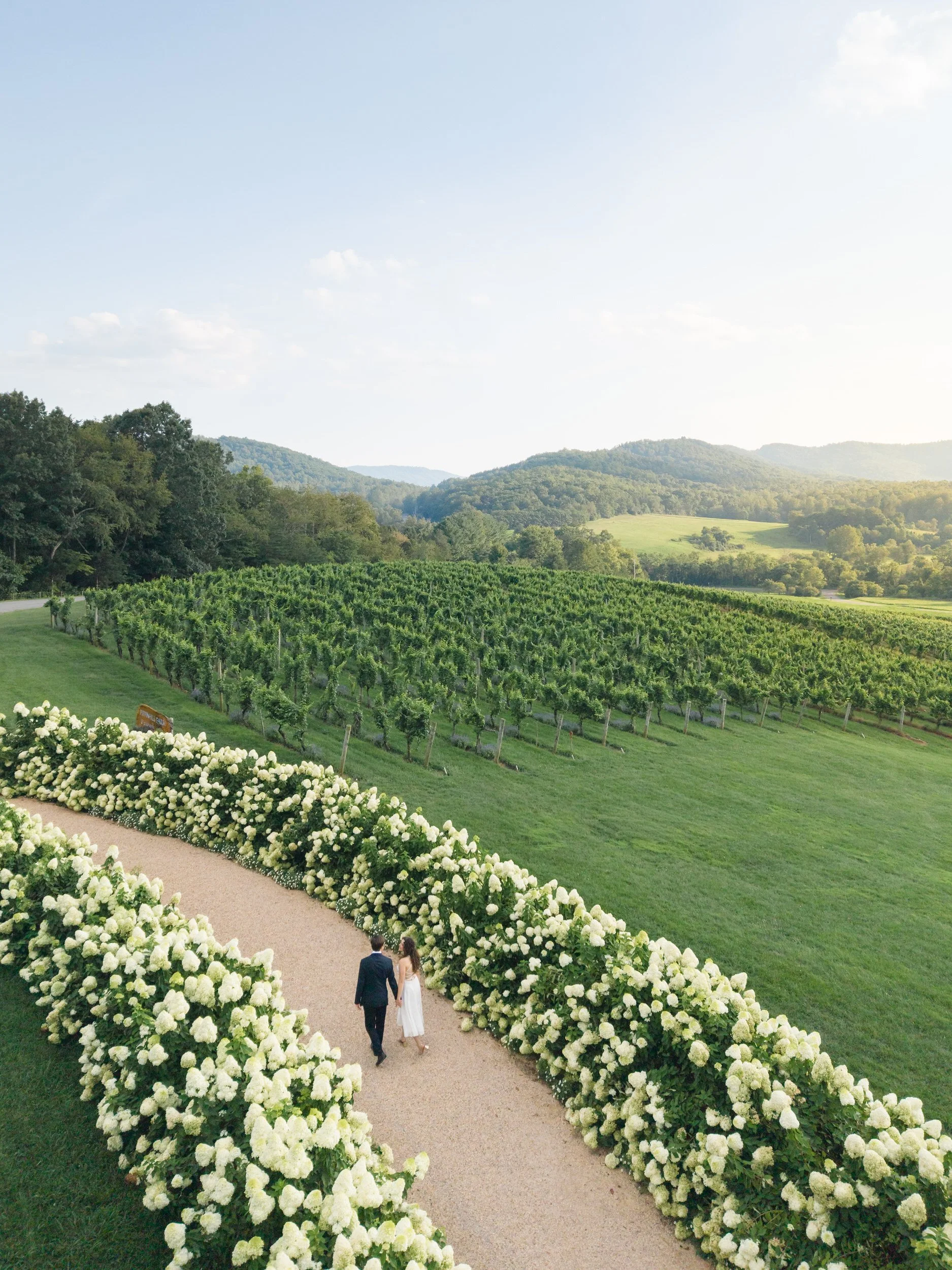 A Classic Pippin Hill Engagement Session